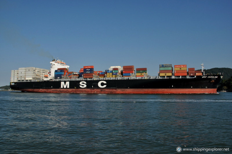 MSC Carolina